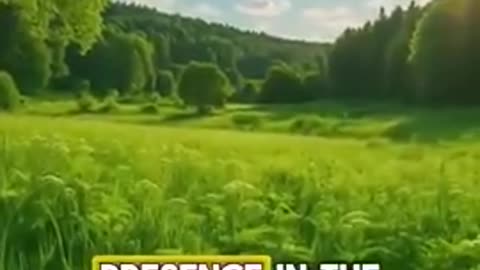Dr. Patrick Moore - There is no scientific proof that CO2 is responsible of the global warming