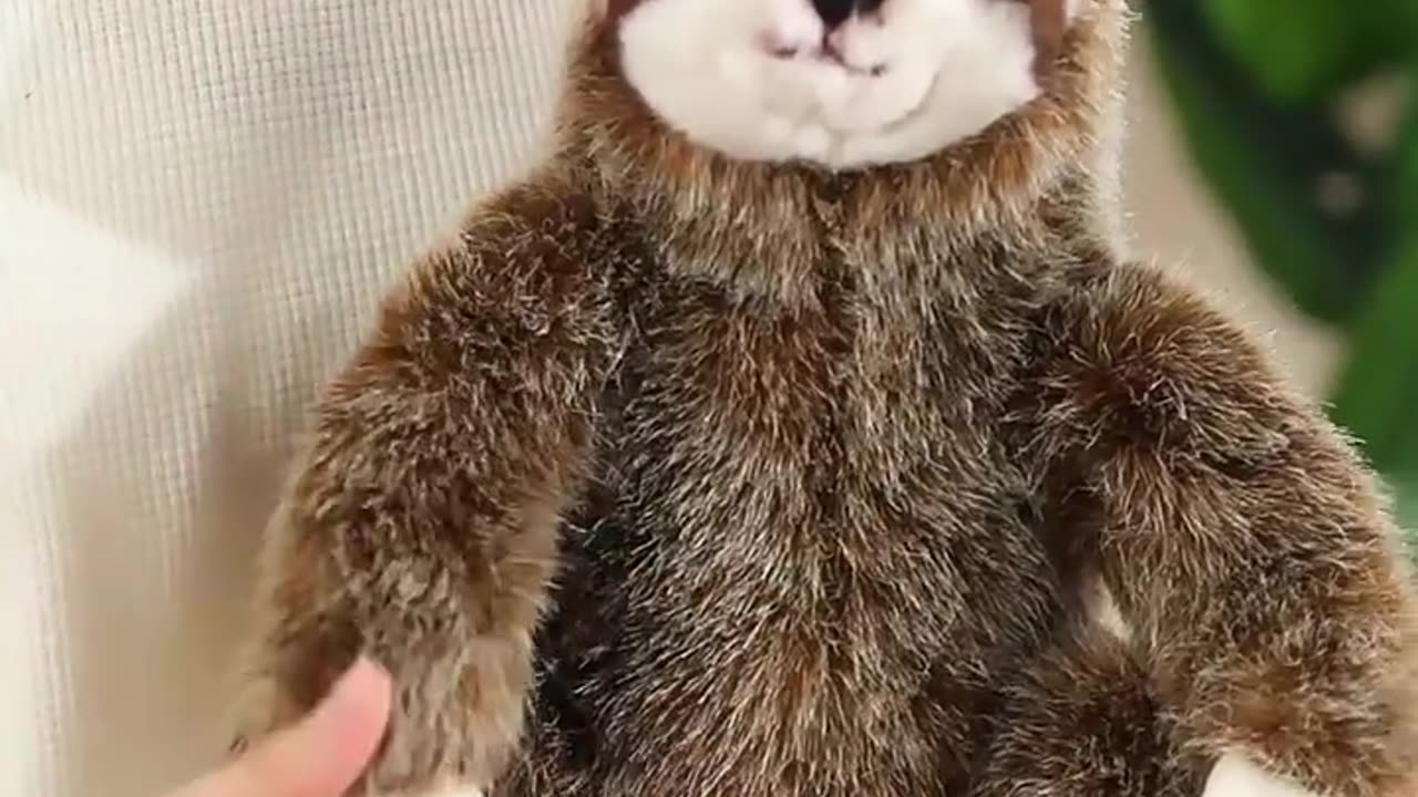 Custom cheap cute plush doctor green frog