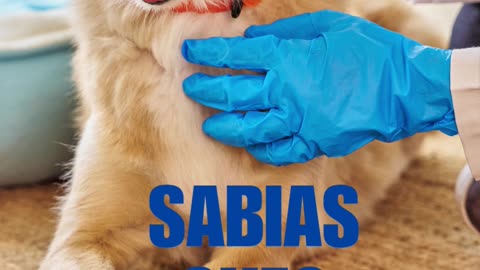 Auxiliar veterinário