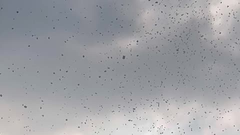 Israeli Air Force drops leaflets in Gaza City, warning civilians to evacuate danger