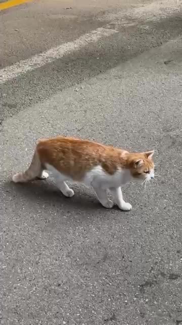 WTF is happening here??