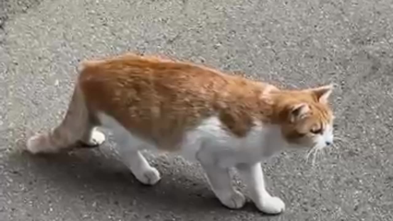 WTF is happening here??