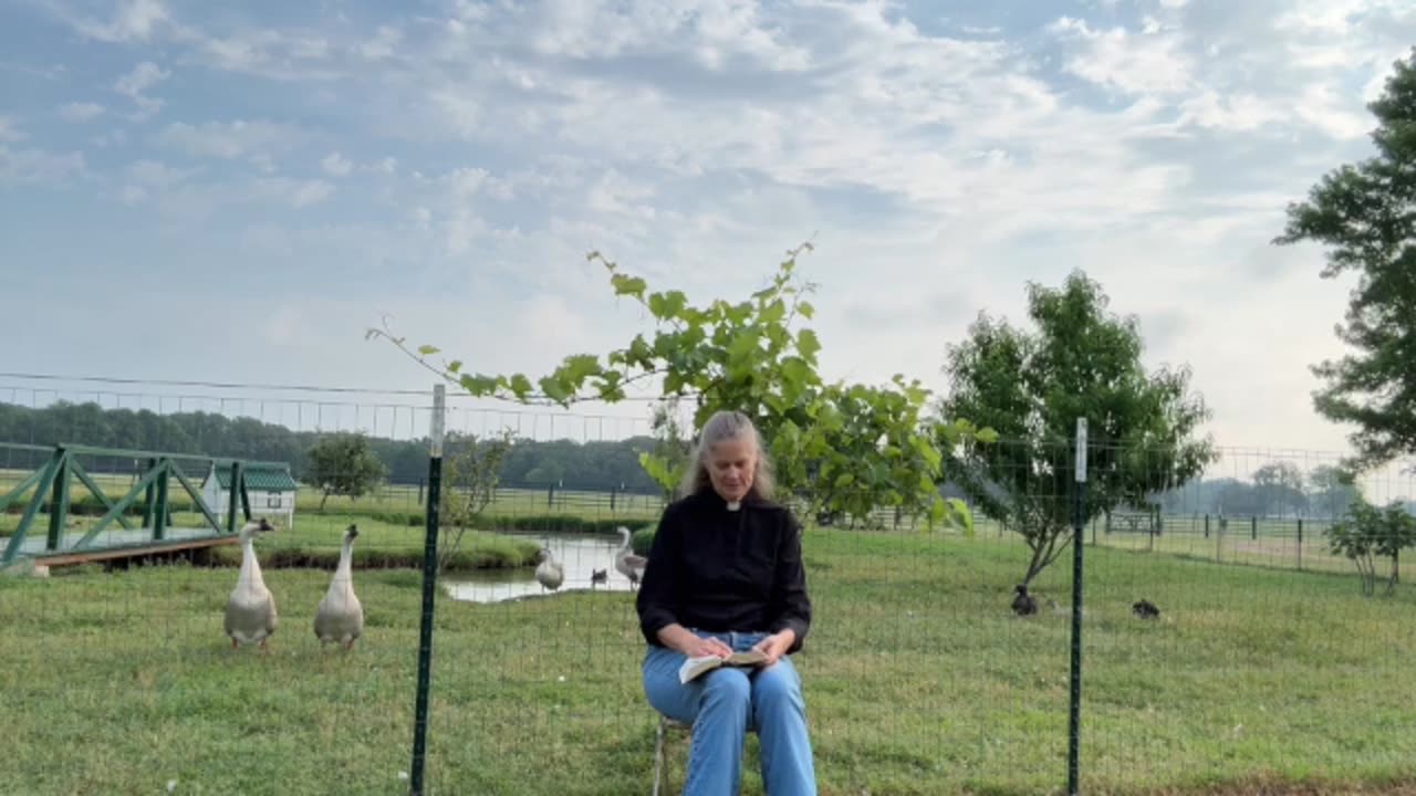 Morning Prayer, Daily Office