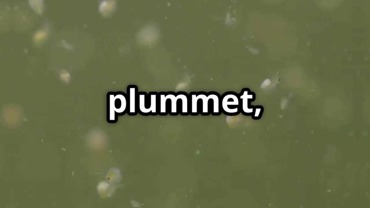 What if...Saltwater!?