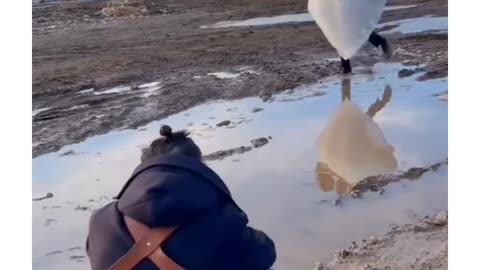 Wait For It… 😂 The Ending Will Crack You Up!