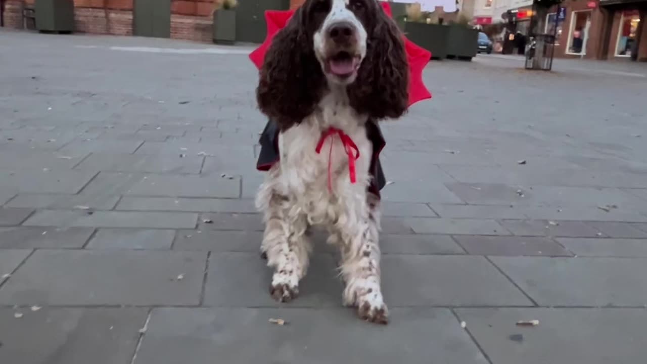 Bonnie Said Boo! Are You Scared Now?