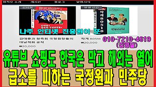 유튜브 쇼핑도 한국은 막고 해외는 열어 급소를 피하는 국정원과 민주당