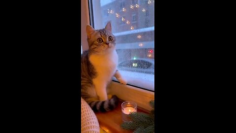 cat how can I go out