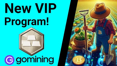 VIP Program is here! | Gomining Ep. 10