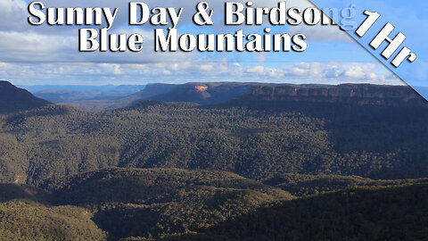 1 Hour of Sunny Mountain Ambience Lookout & Birdsong | Ruined Castle