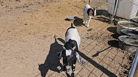 Graham Family Farm NW: 9:50 AM July 23 2025