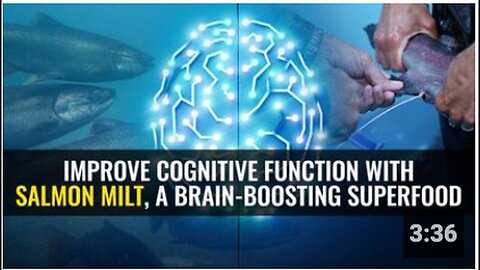 "Boost Cognitive Function with Salmon Milt: The Brain-Boosting Superfood"