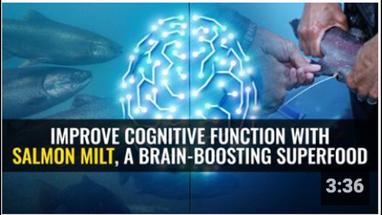 "Boost Cognitive Function with Salmon Milt: The Brain-Boosting Superfood"