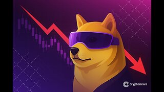 DeFi Dev Corp Launches Dogwifhat Validator Staking Rewards Split with Community – Here’s How