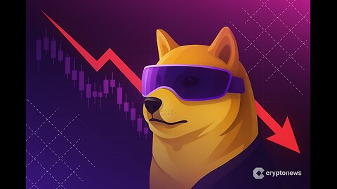 DeFi Dev Corp Launches Dogwifhat Validator Staking Rewards Split with Community – Here’s How