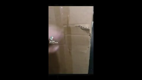 Animal funny