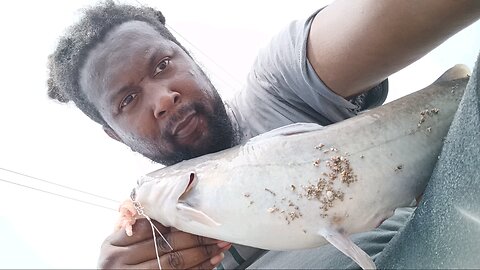 bigga fish