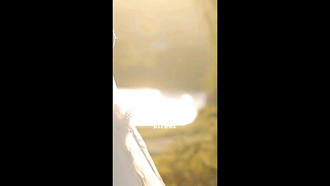 Marry When You are Ready Not When You're Pressured