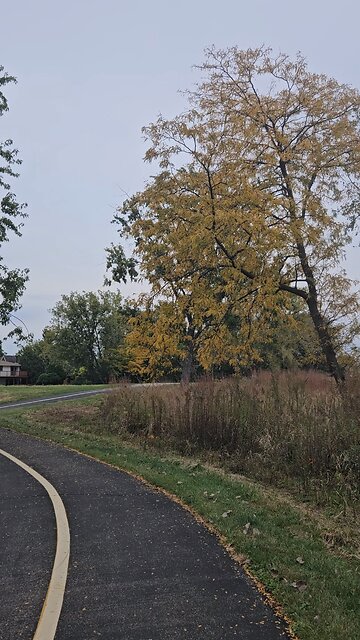 Here's Some Fall Colors