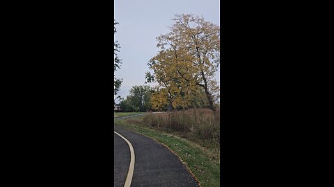 Here's Some Fall Colors