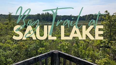 Saul Lake Bog Trail and STUNNING BOG Views! | Hike POV, ASMR