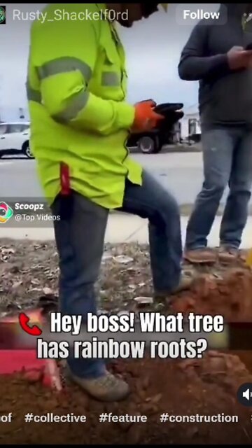 The Tunnell Take. It's going to be a wonderful day!