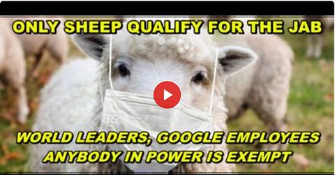 NO VAXX FOR GOOGLE EMPLOYEES, POLITICIAN OR ANY WORLD LEADER - ONLY SHEEP QUALIFY FOR THE JAB