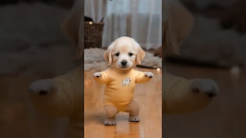 PuppyPuppyPuppy Dance!