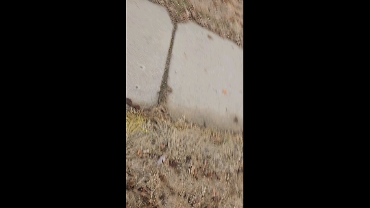 wind damage