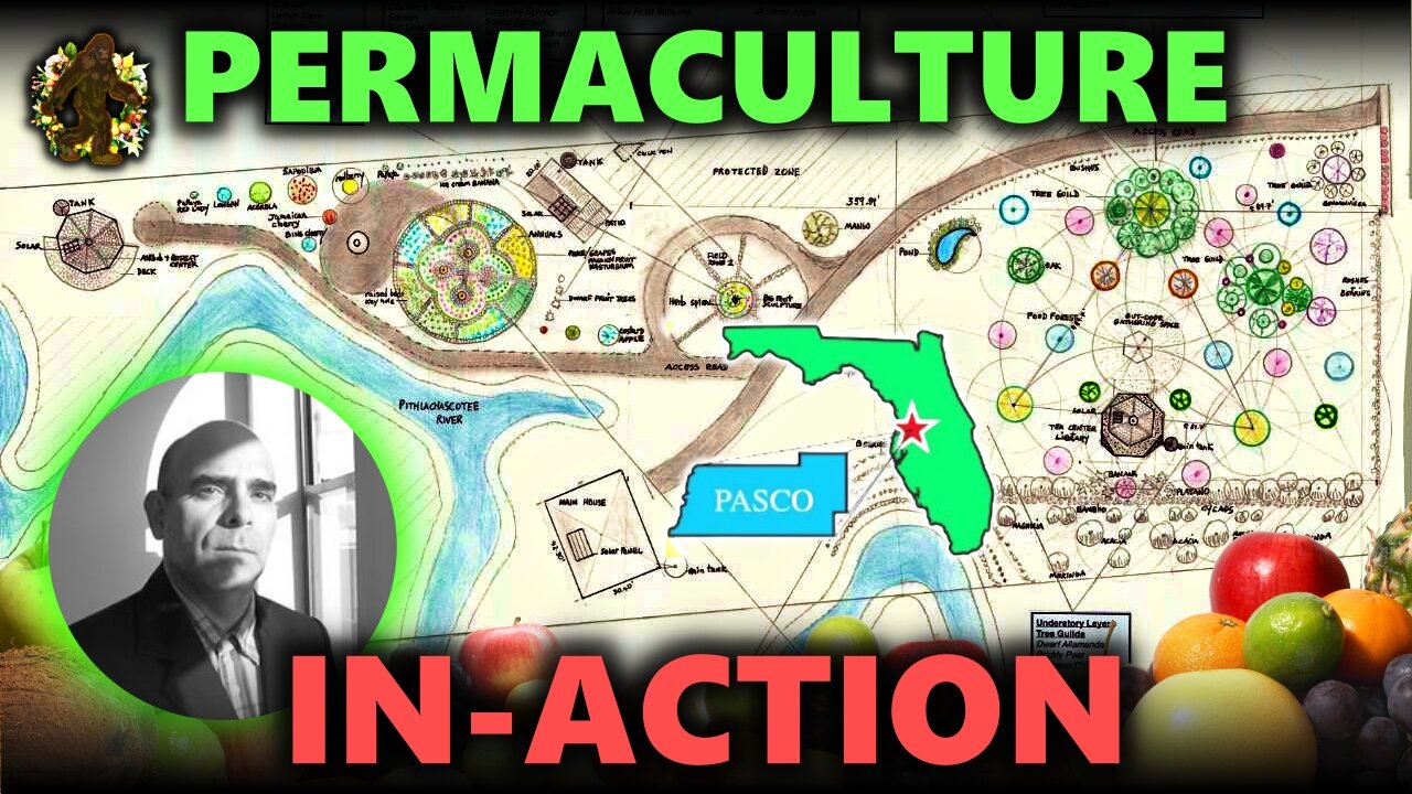 Detailed FOOD FOREST Planning In New Port Richey Florida with CC Brown!