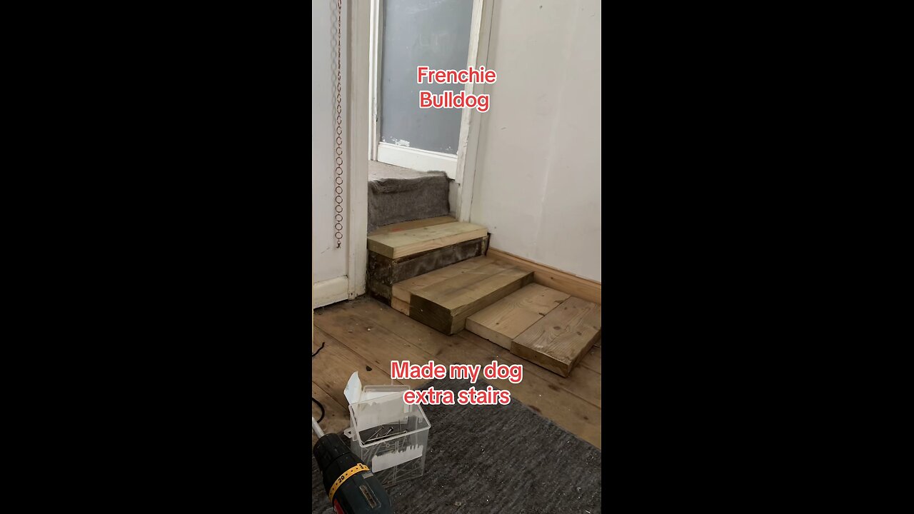 Dog stairs