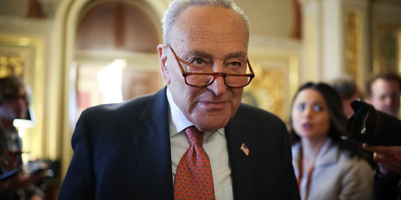 'PARTY GONE MAD': Schumer folds and the Democratic Party explodes
