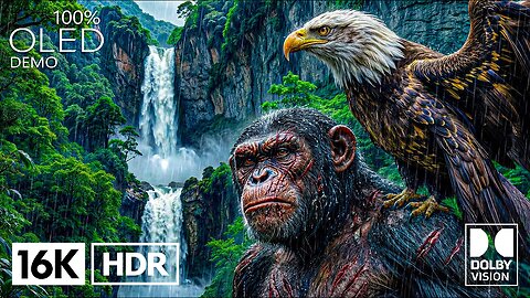 JAW-DROPPING OLED TEST Video | 16K HDR 120FPS Dolby Vision (4K/8K Video TV)