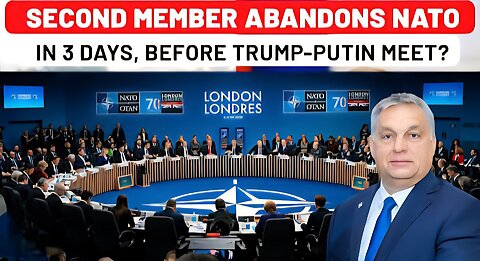 In 3 Days, 2nd Member Abandons NATO Ahead Of Putin-Trump Meet? Alarm Bells In Europe?| Ukraine War