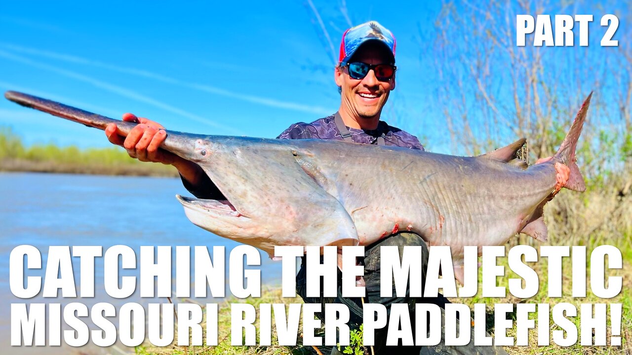 PADDLECAMP PART 2