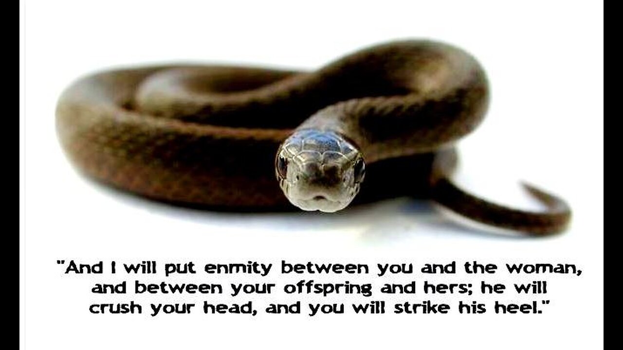 Dr Ardis, the Mark into the Worship of the beast (serpent) since 2020. Genesis 3:15 - 18 & Revelations 18:23 & the missing ingredients