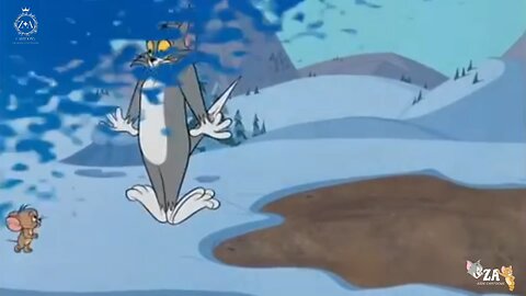 Tom and Jerry Cartoons