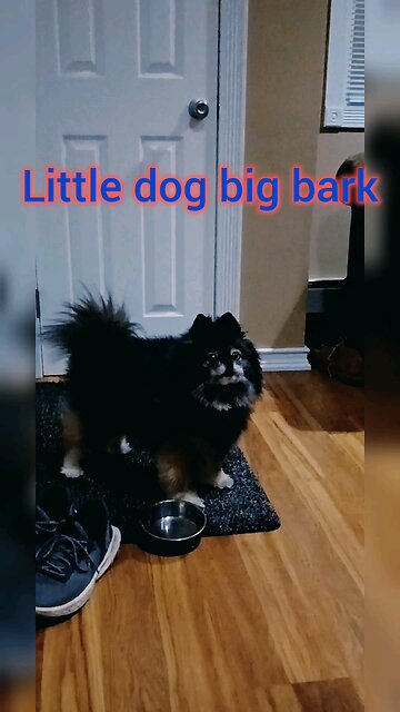 pocket size security system