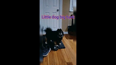 pocket size security system