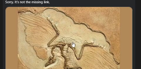 There are no missing links