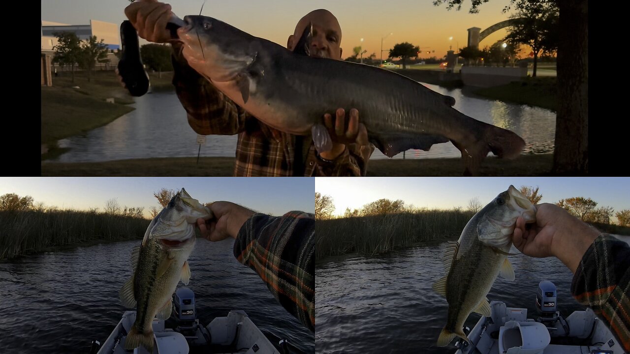 20 Lb Cat on 10 lb Test!