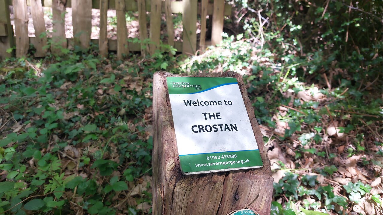 The Crostan Woodland