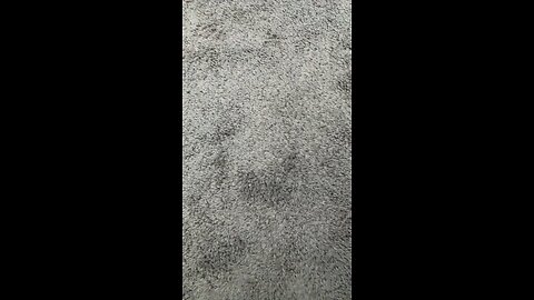 Test 8 scheduled