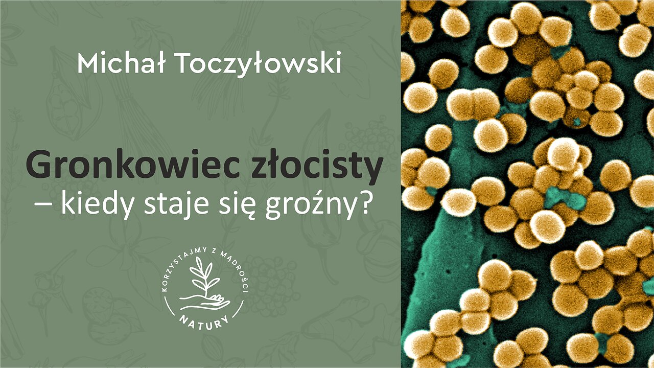 Gronkowiec złocisty – kiedy staje się groźny?