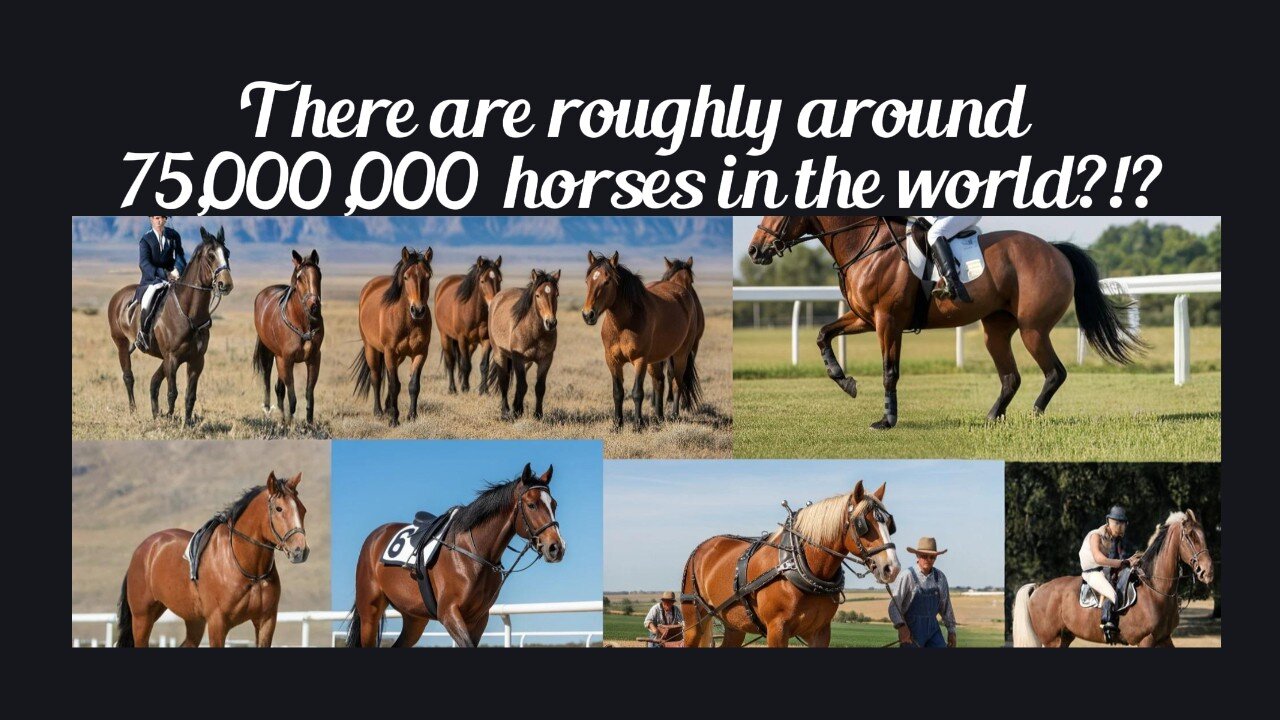 Fun Fact for May 24th 2025 Pt 2