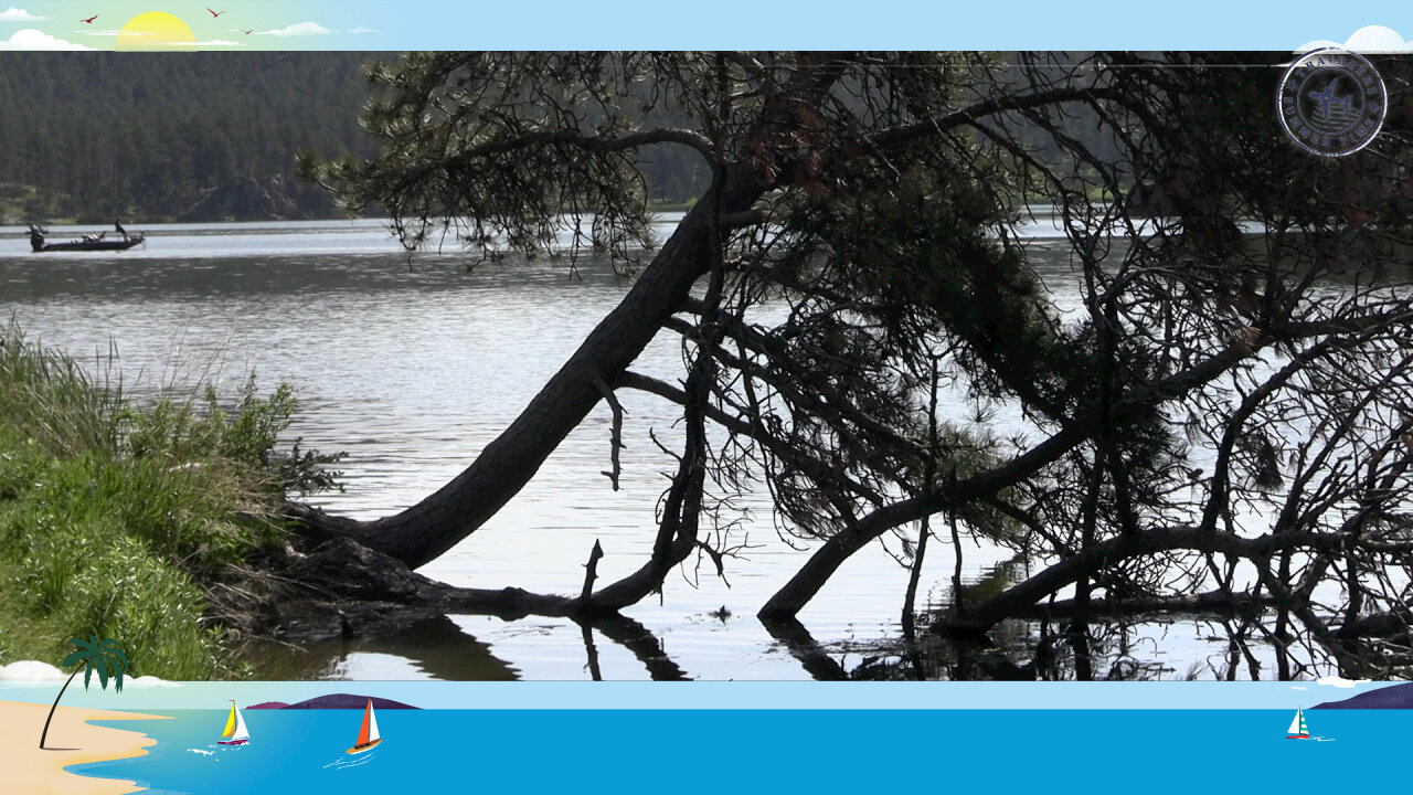 Father's Day Weekend