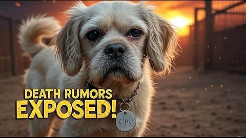 King Charles Death Rumors EXPOSED – The Alpha Still Rules!