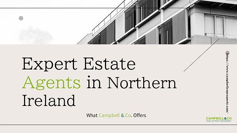 Expert Estate Agents in Northern Ireland: What Campbell & Co. Offers