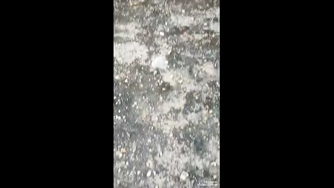 Bhai aap sabse alag Ho😂