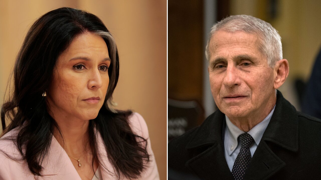 Tulsi Gabbard Just Dropped a Bomb on Anthony Fauci — He Better Lawyer Up